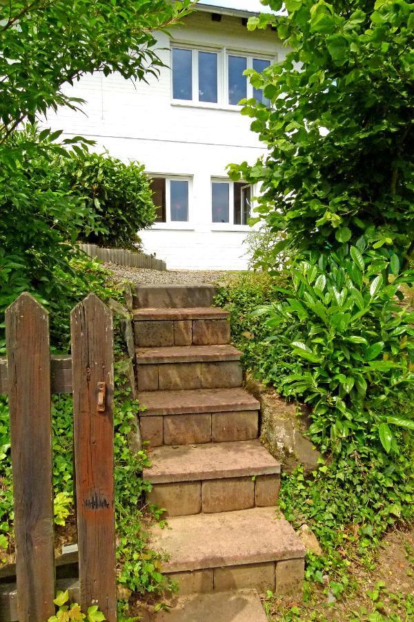 첼 안 데어 모젤 Haus Tannenweg 아파트 외부 사진